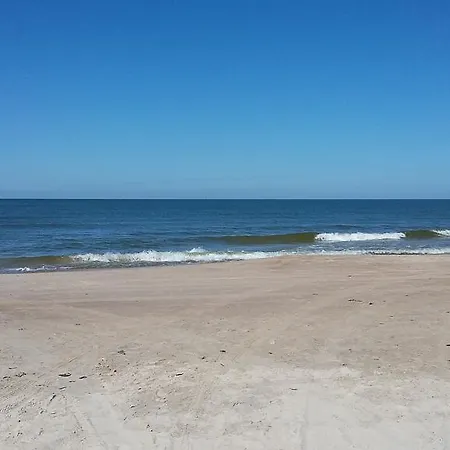 Jauki Vieta Poilsiui Kunigiskese * Palanga
