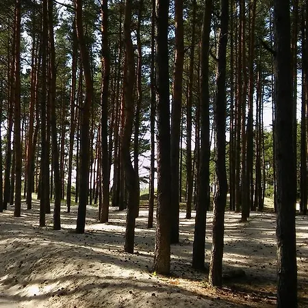 דירה Jauki Vieta Poilsiui Kunigiskese *