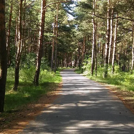 Jauki Vieta Poilsiui Kunigiskese