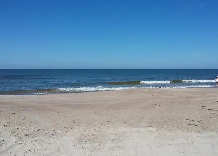 Jauki Vieta Poilsiui Kunigiskese * פלאנגה