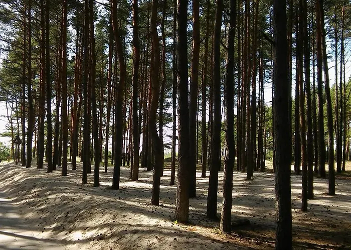 דירה Jauki Vieta Poilsiui Kunigiskese *