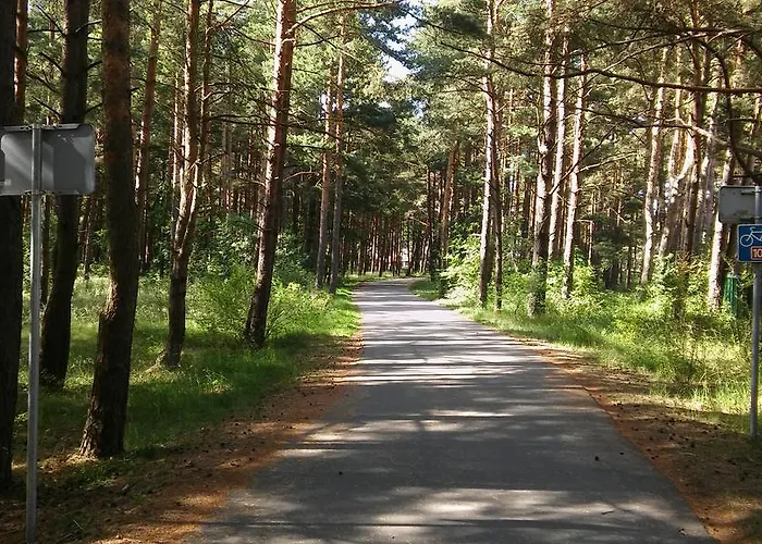 Jauki Vieta Poilsiui Kunigiskese